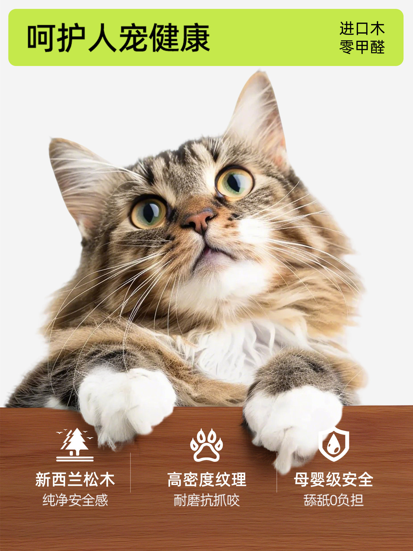 Aparador de cantimplora para p - Pet Supplies First reseña y precio