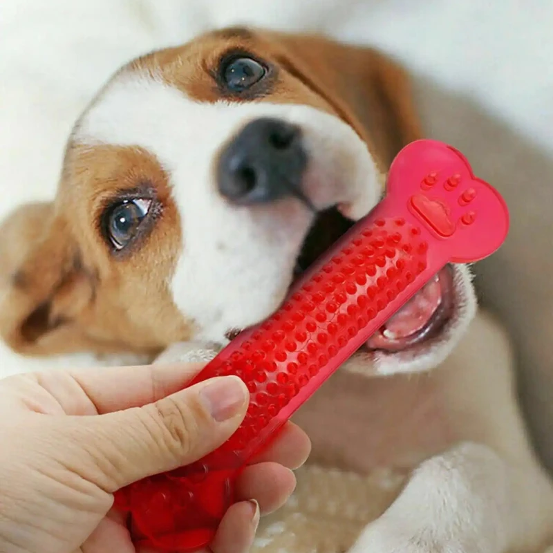 Juguete para masticar hueso de - Training Clicker Dog reseña y precio