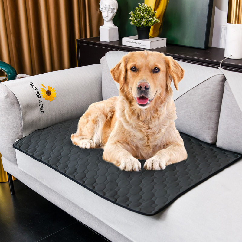 Estera de orina para perro, la - Pet Supplies Dog Wash reseña y precio