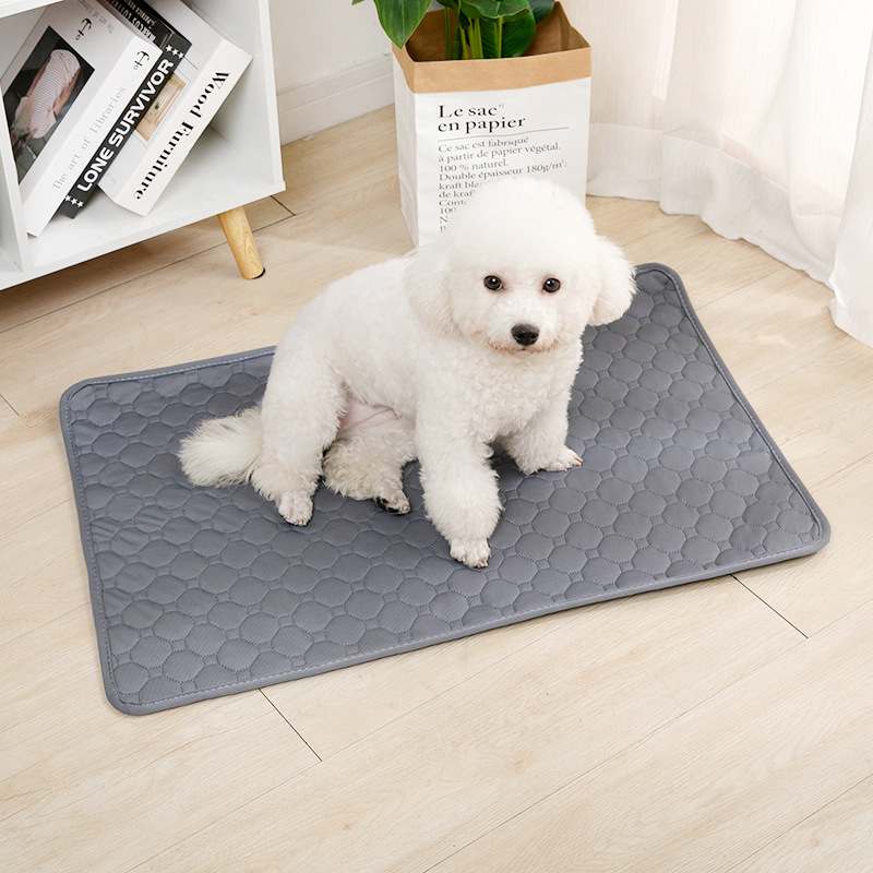 Manta Reutilizable para Orina  - Pet Supplies Dog Wash reseña y precio