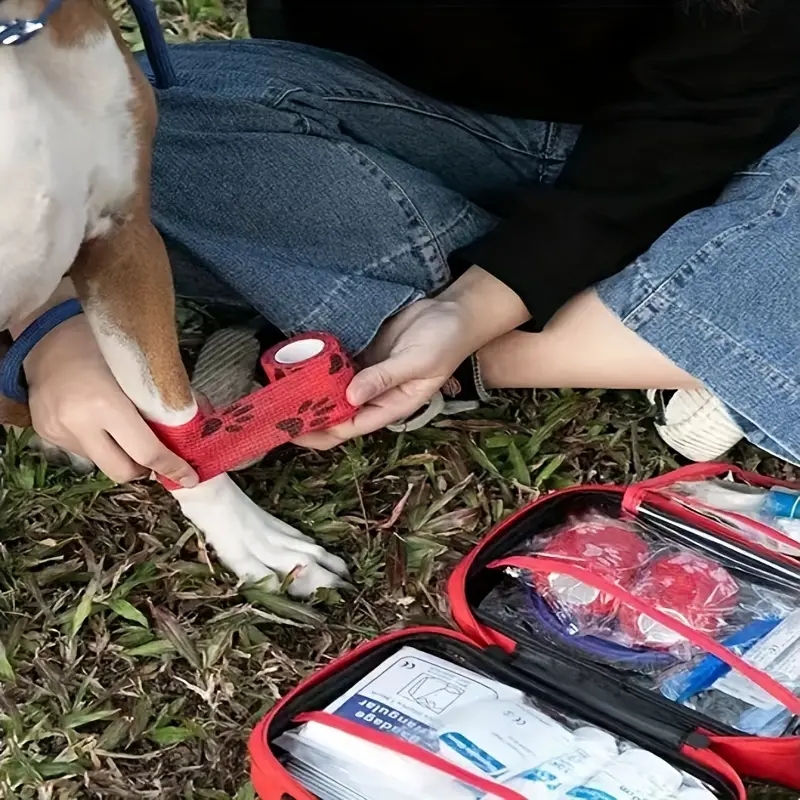 Botiquín compacto de primeros  - Pet Supplies First reseña y precio