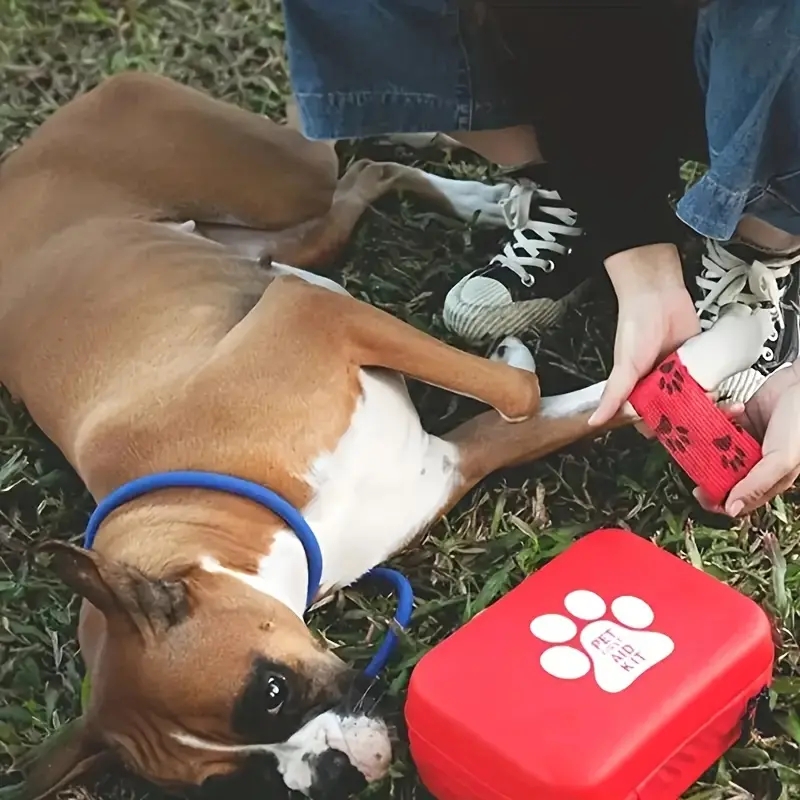 Botiquín compacto de primeros  - Pet Supplies First reseña y precio