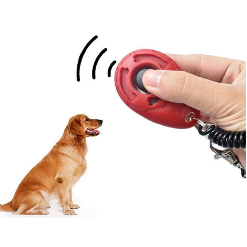 Clicker de Entrenamiento para  - Training Clicker Dog reseña y precio