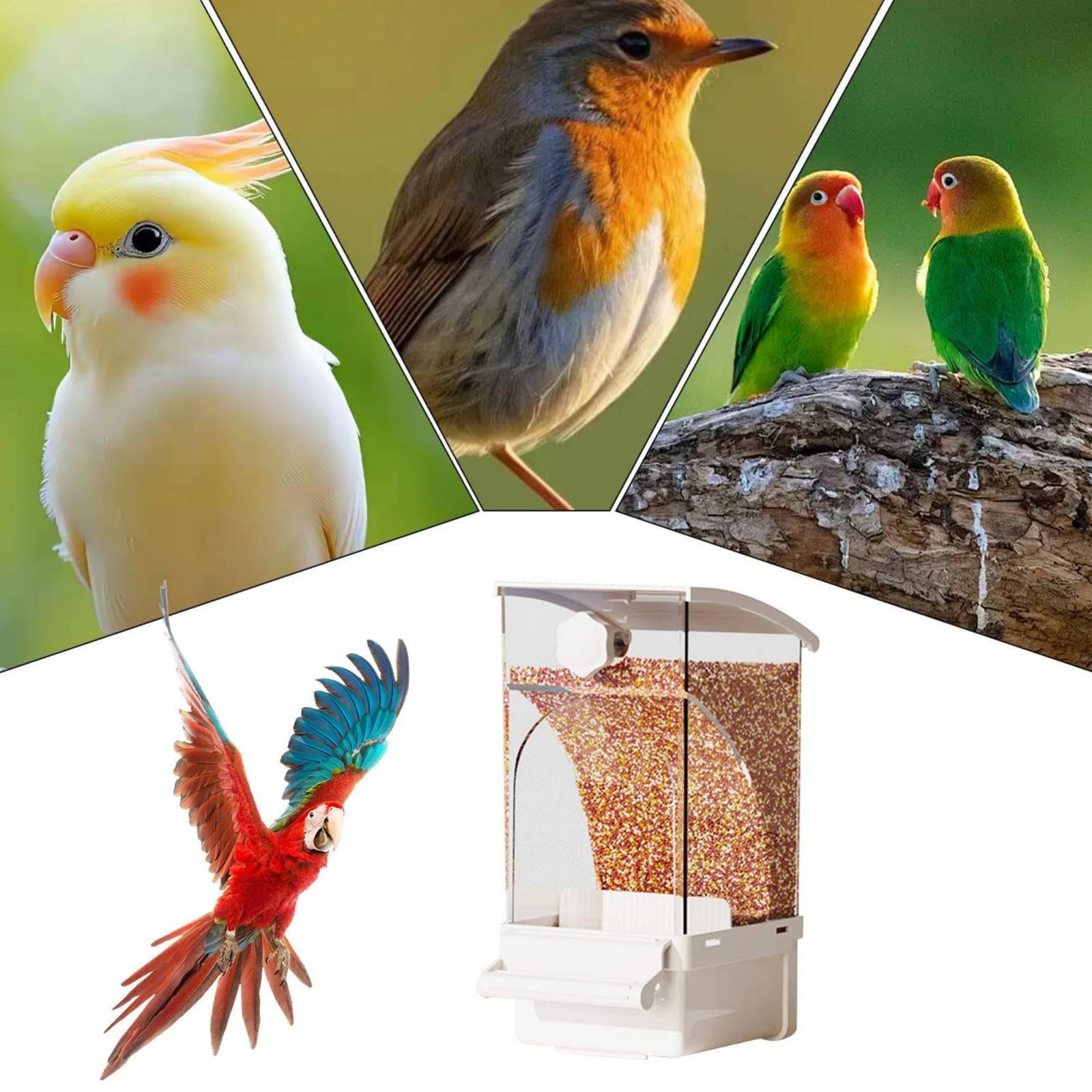 Comedero Automático para Aves  - Pet Supplies In reseña y precio