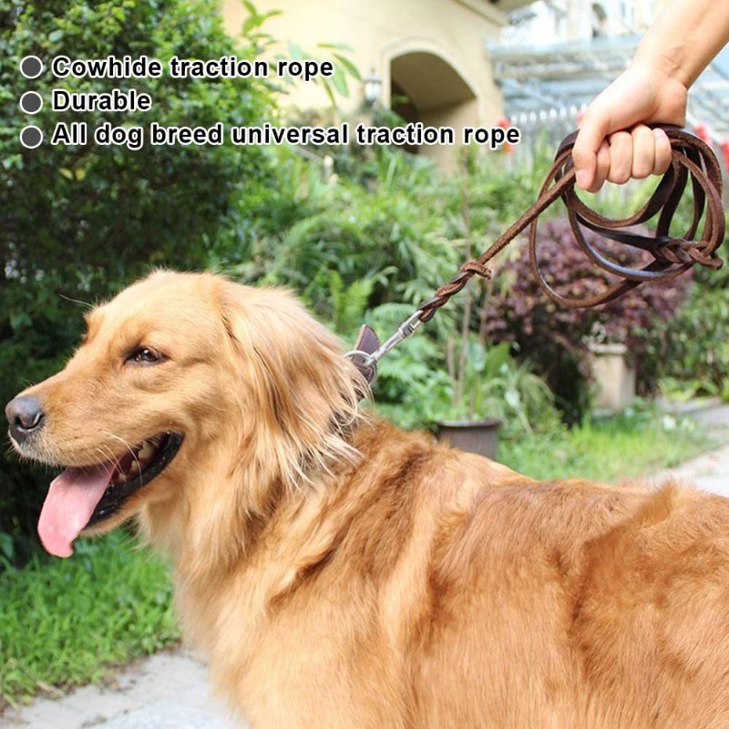 Correa de piel de vaca de prim - Pet Supplies First reseña y precio