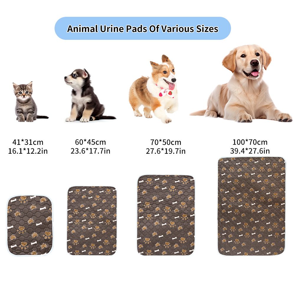 Almohadilla reutilizable para  - Pet Supplies Dog Wash reseña y precio