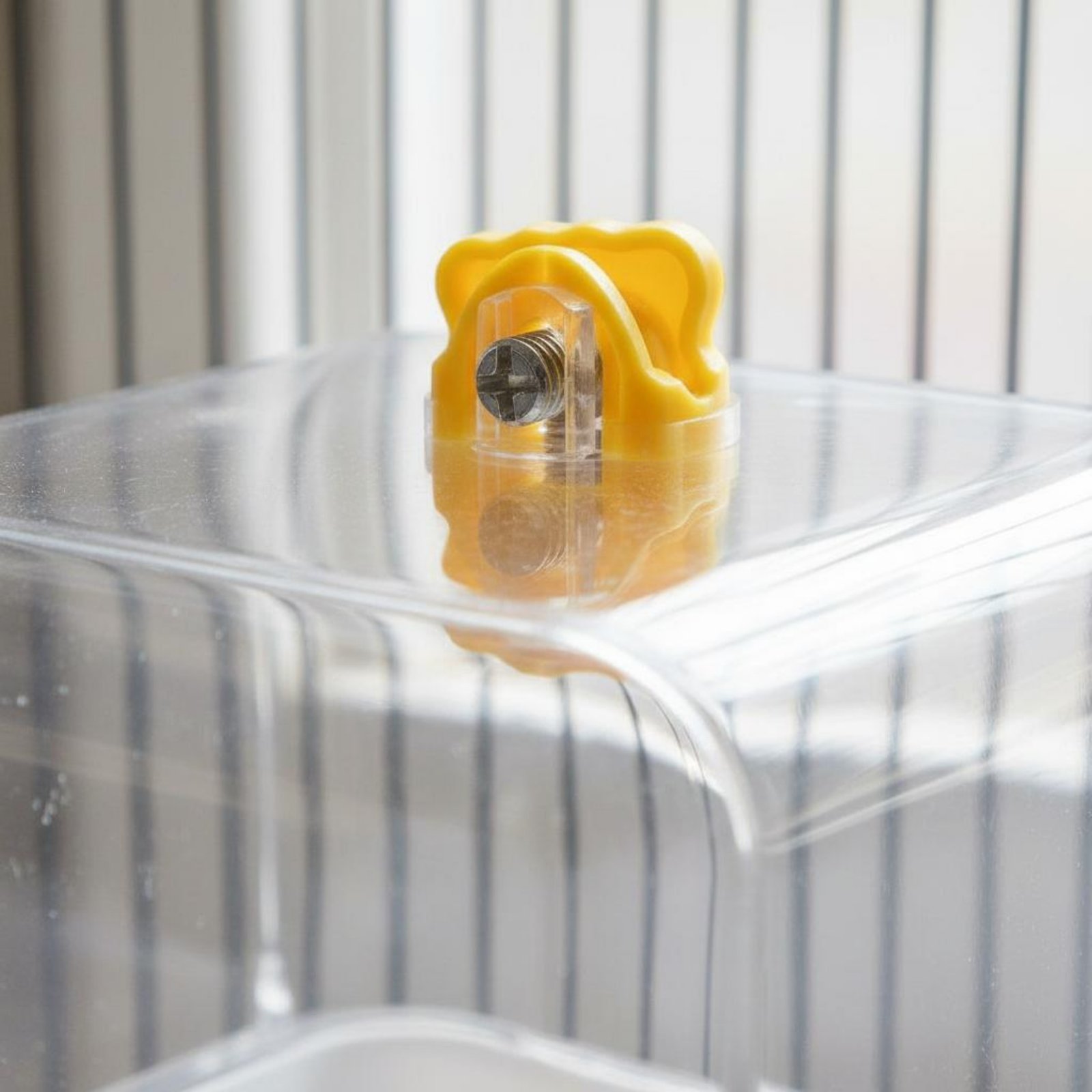 Bañera Multifunción para Loros - Pet Supplies In reseña y precio
