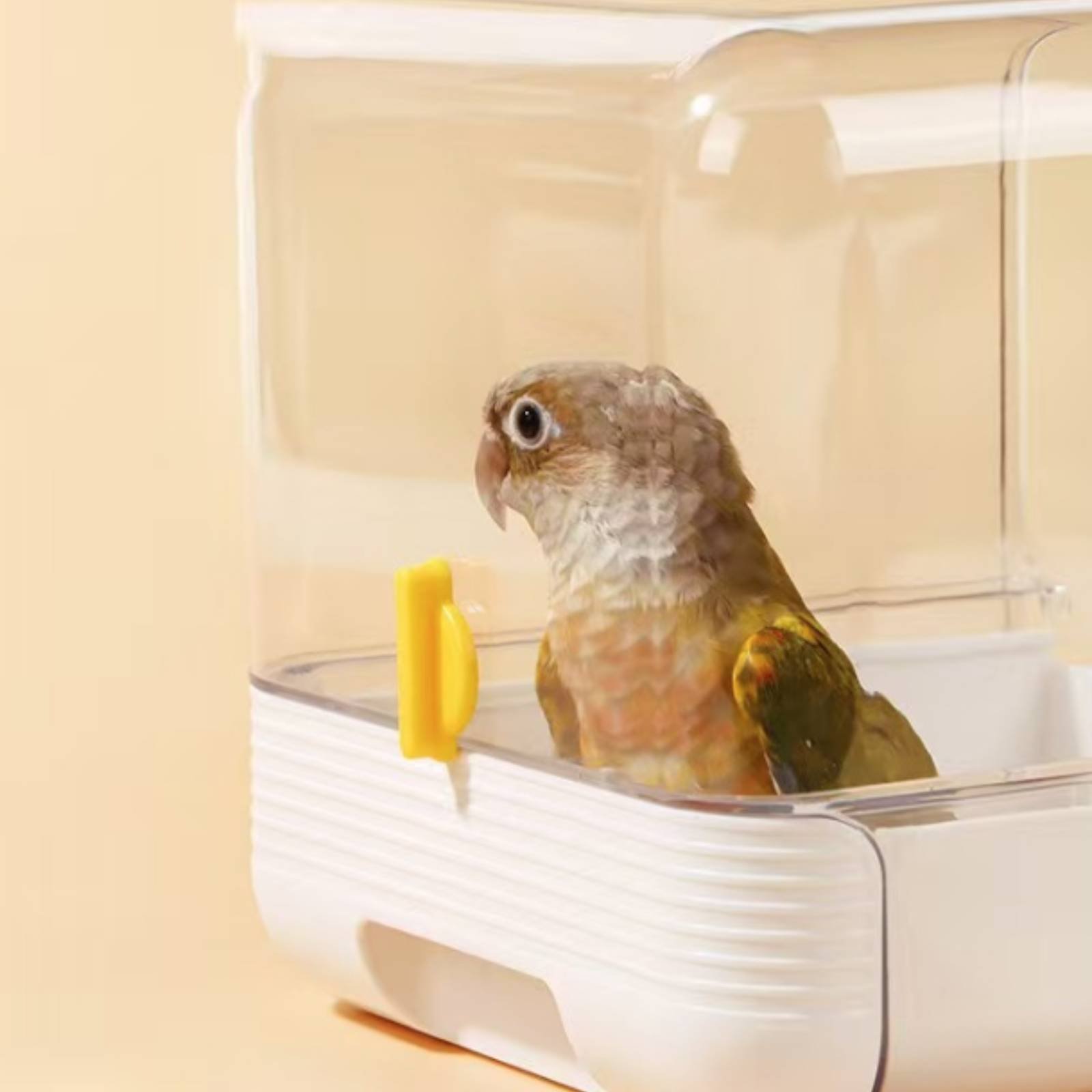 Bañera Multifunción para Loros - Pet Supplies In reseña y precio